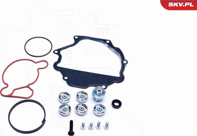 Esen SKV 18SKV809 - Ремкомплект, вакуумний насос (гальмівна установка) autocars.com.ua
