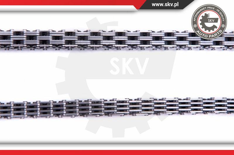 Esen SKV 21SKV232 - Комплект цепи привода распредвала avtokuzovplus.com.ua