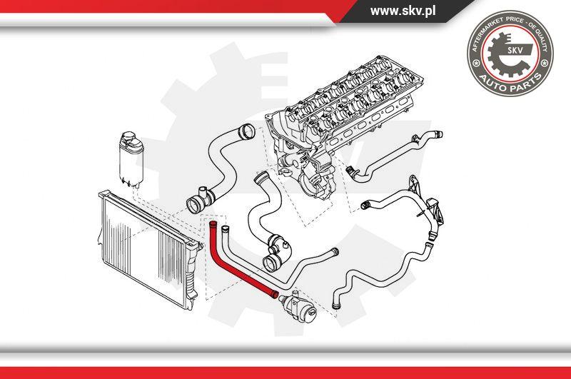 Esen SKV 24SKV254 - Шланг радіатора autocars.com.ua