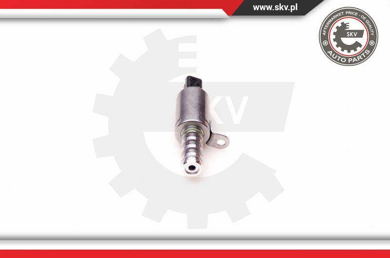 Esen SKV 39SKV015 - Регулирующий клапан, выставление распределительного вала avtokuzovplus.com.ua