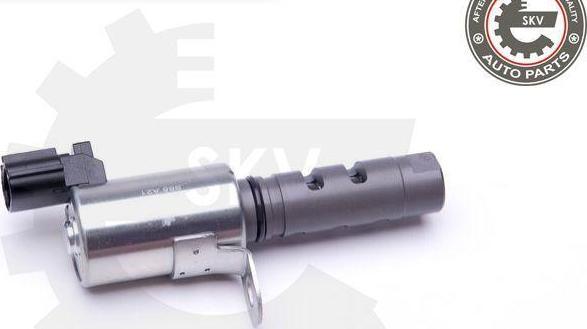 Esen SKV 39SKV063 - Регулюючий клапан, виставлення розподільного вала autocars.com.ua
