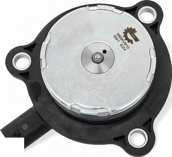 Esen SKV 39SKV910 - Регулюючий клапан, виставлення розподільного вала autocars.com.ua