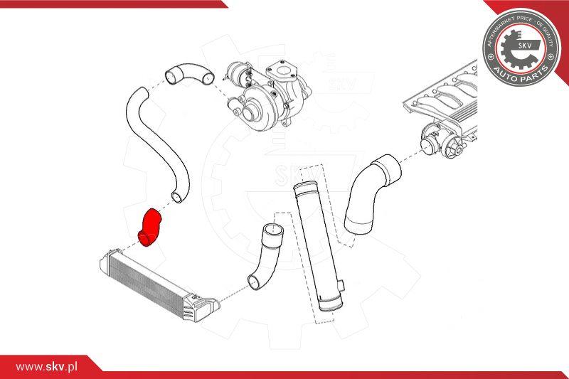Esen SKV 43SKV174 - Трубка, нагнетание воздуха avtokuzovplus.com.ua