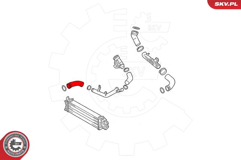 Esen SKV 43SKV406 - Трубка, нагнетание воздуха avtokuzovplus.com.ua