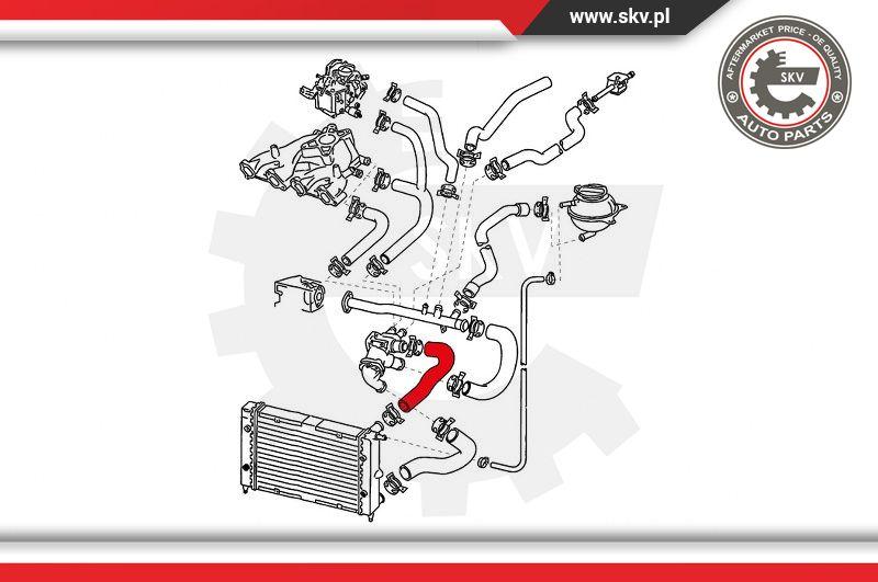 Esen SKV 43SKV717 - Шланг радіатора autocars.com.ua