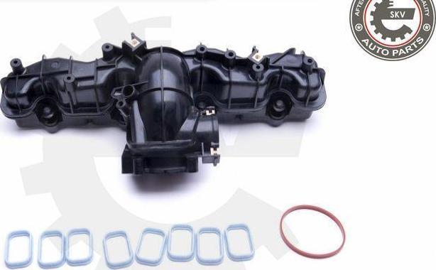 Esen SKV 49SKV033 - Модуль впускний труби autocars.com.ua