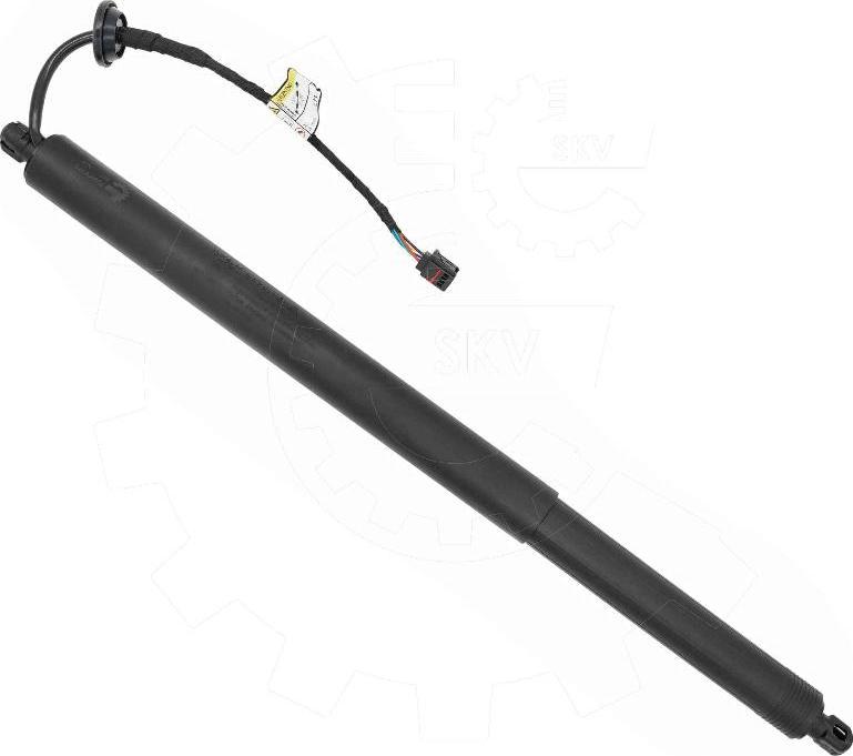 Esen SKV 52SKV173 - Електромотор, задні двері autocars.com.ua