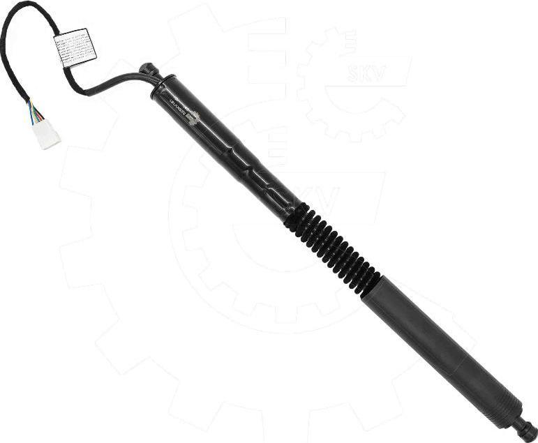 Esen SKV 52SKV181 - Електромотор, задні двері autocars.com.ua