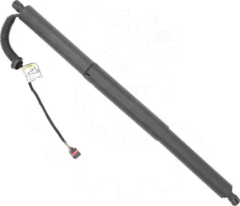 Esen SKV 52SKV195 - Електромотор, задні двері autocars.com.ua