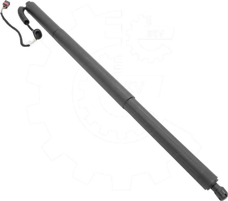 Esen SKV 52SKV196 - Електромотор, задні двері autocars.com.ua