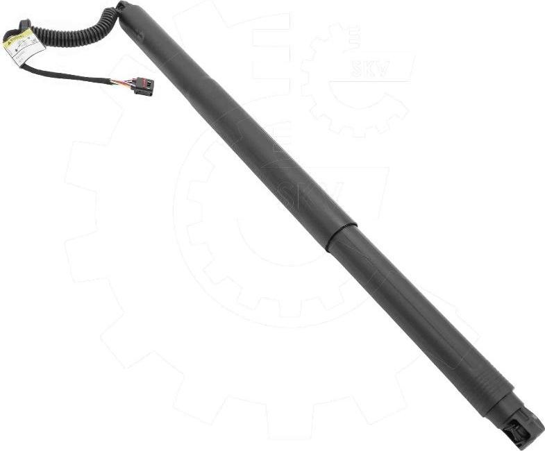 Esen SKV 52SKV197 - Електромотор, задні двері autocars.com.ua