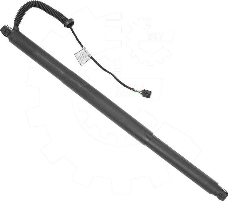 Esen SKV 52SKV198 - Електромотор, задні двері autocars.com.ua