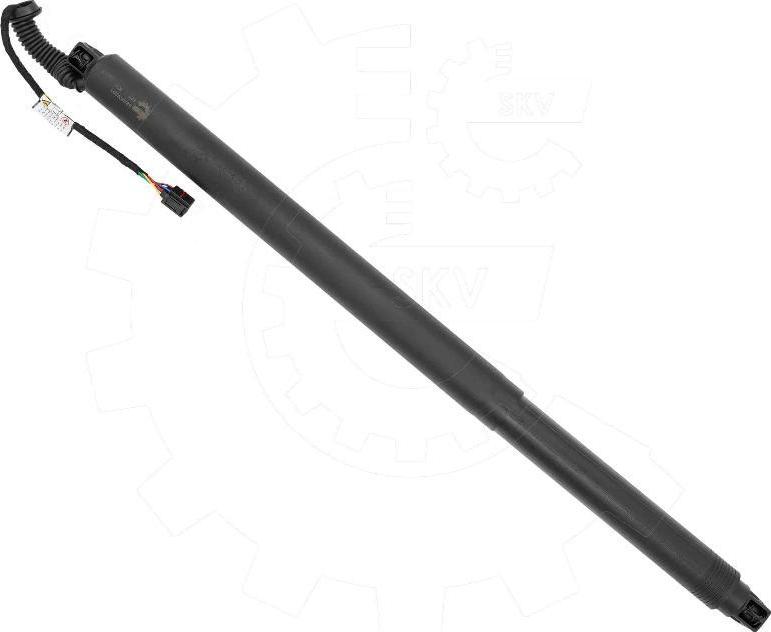 Esen SKV 52SKV201 - Електромотор, задні двері autocars.com.ua