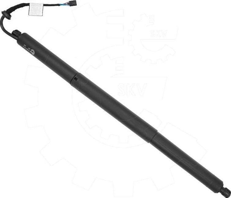 Esen SKV 52SKV219 - Електромотор, задні двері autocars.com.ua