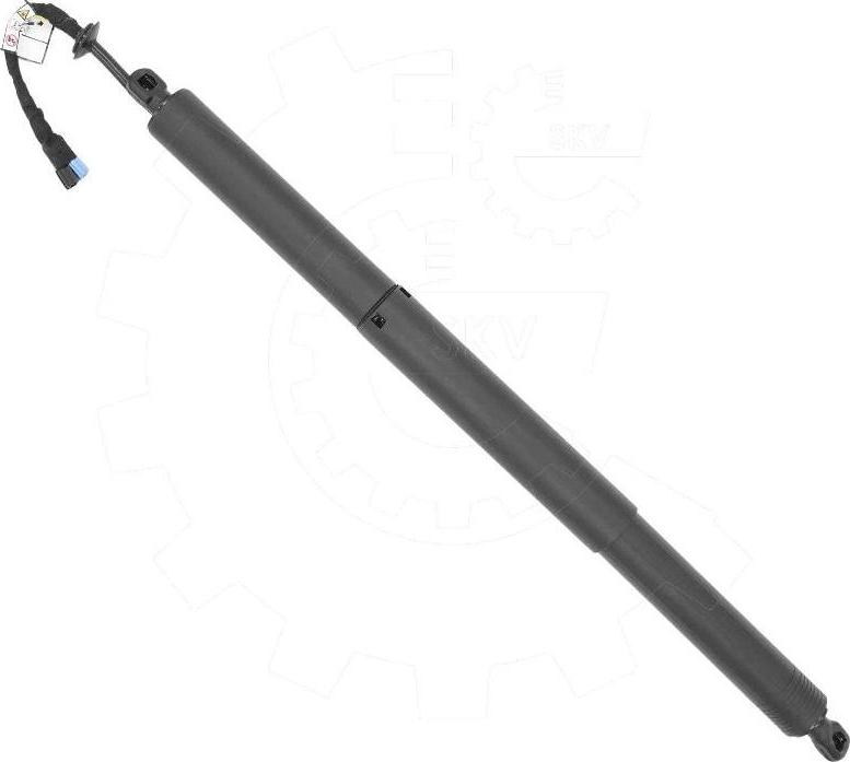 Esen SKV 52SKV232 - Електромотор, задні двері autocars.com.ua