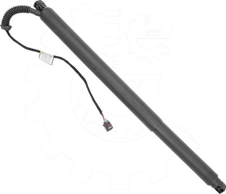 Esen SKV 52SKV234 - Електромотор, задні двері autocars.com.ua