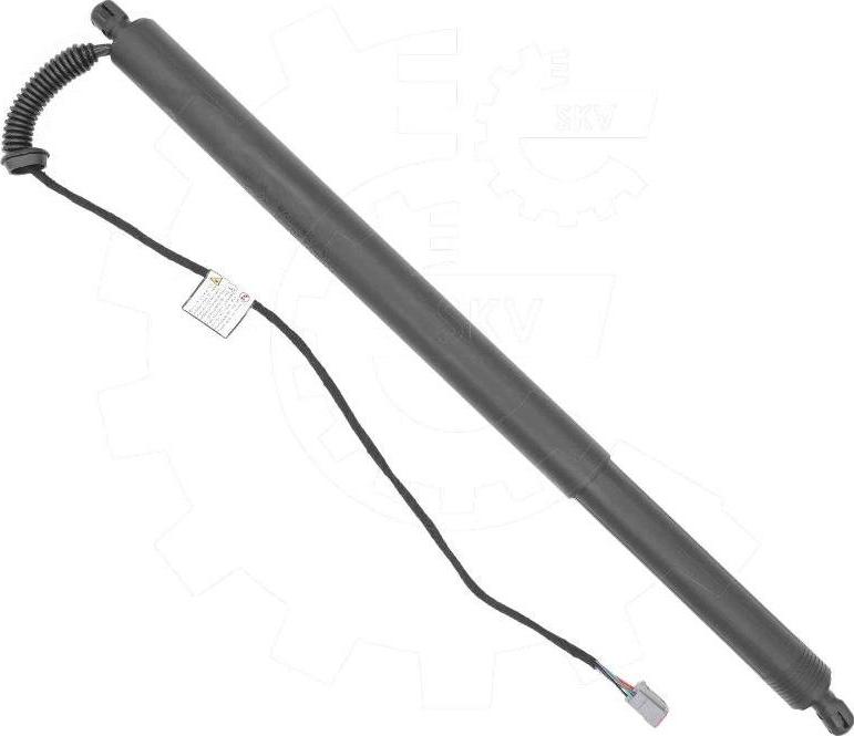 Esen SKV 52SKV245 - Електромотор, задні двері autocars.com.ua