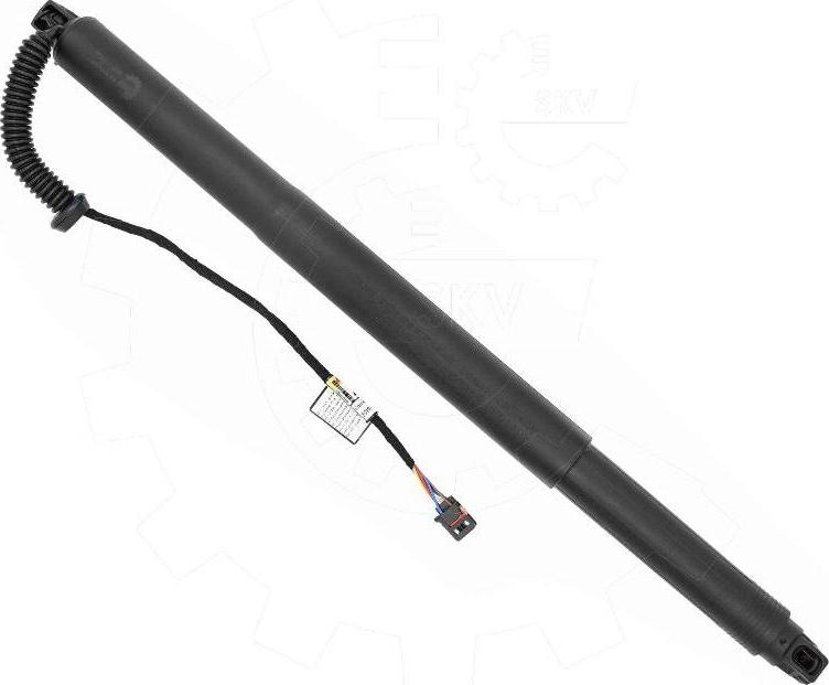 Esen SKV 52SKV251 - Електромотор, задні двері autocars.com.ua