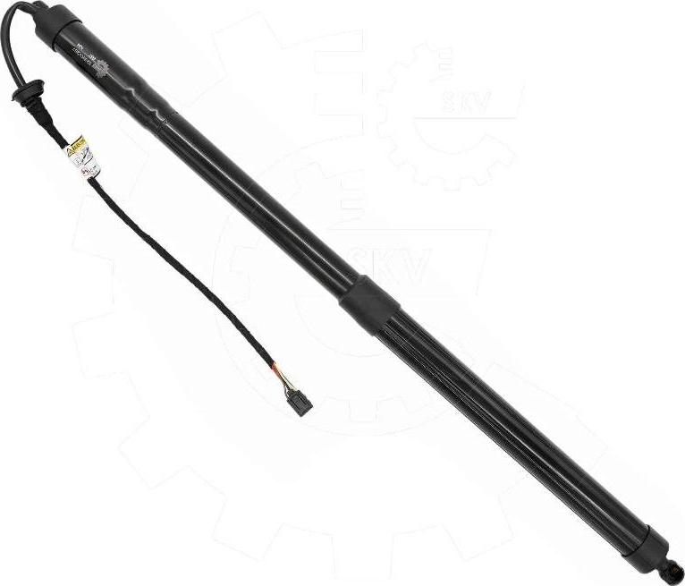 Esen SKV 52SKV267 - Електромотор, задні двері autocars.com.ua