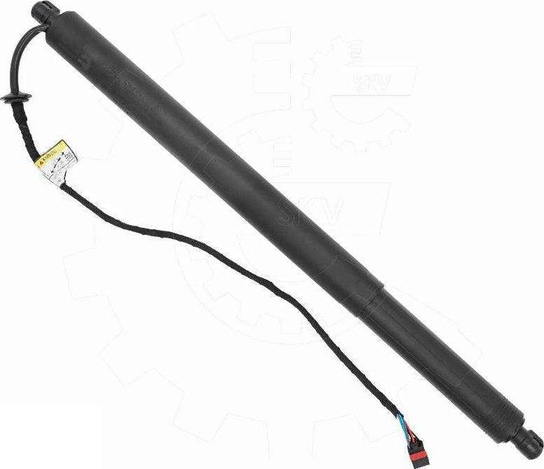 Esen SKV 52SKV290 - Електромотор, задні двері autocars.com.ua