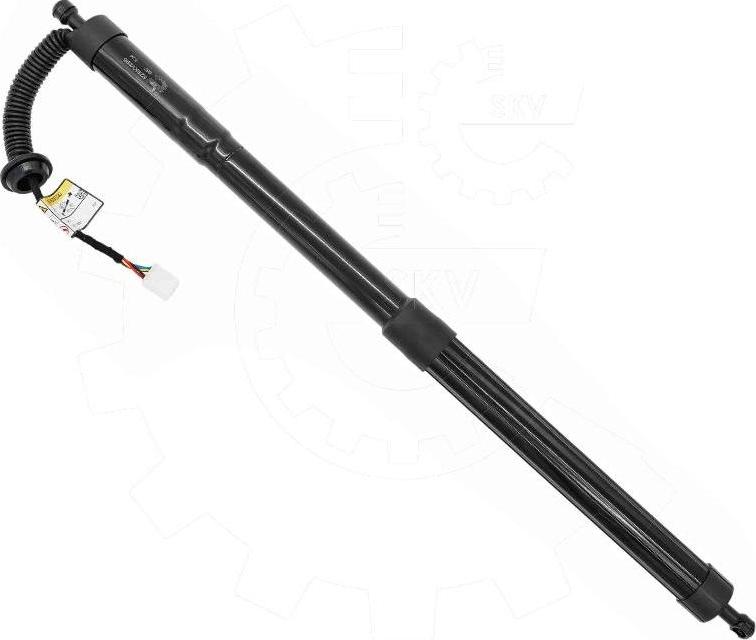 Esen SKV 52SKV295 - Електромотор, задні двері autocars.com.ua