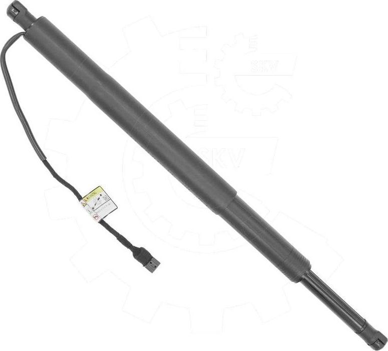 Esen SKV 52SKV839 - Електромотор, задні двері autocars.com.ua