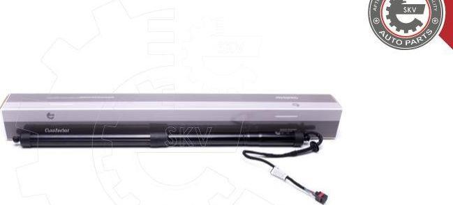 Esen SKV 52SKV909 - Електромотор, задні двері autocars.com.ua