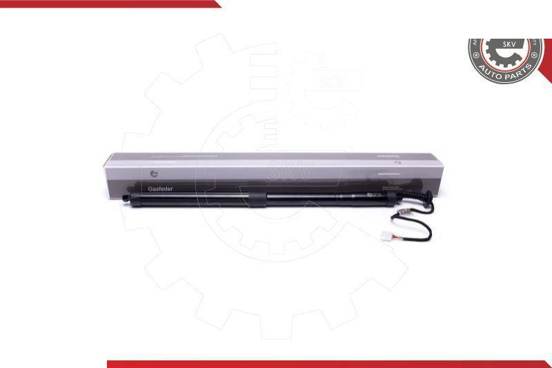 Esen SKV 52SKV915 - Електромотор, задні двері autocars.com.ua