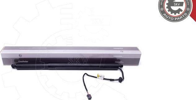 Esen SKV 52SKV917 - Електромотор, задні двері autocars.com.ua