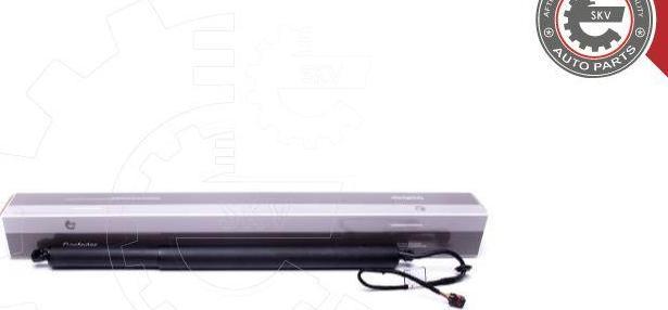 Esen SKV 52SKV918 - Електромотор, задні двері autocars.com.ua