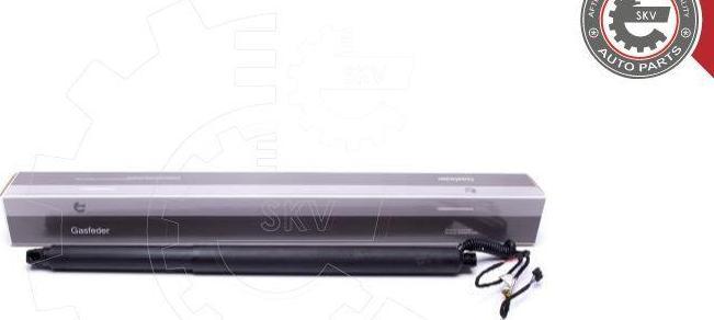 Esen SKV 52SKV941 - Електромотор, задні двері autocars.com.ua