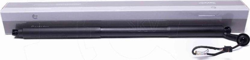 Esen SKV 52SKV969 - Електромотор, задні двері autocars.com.ua