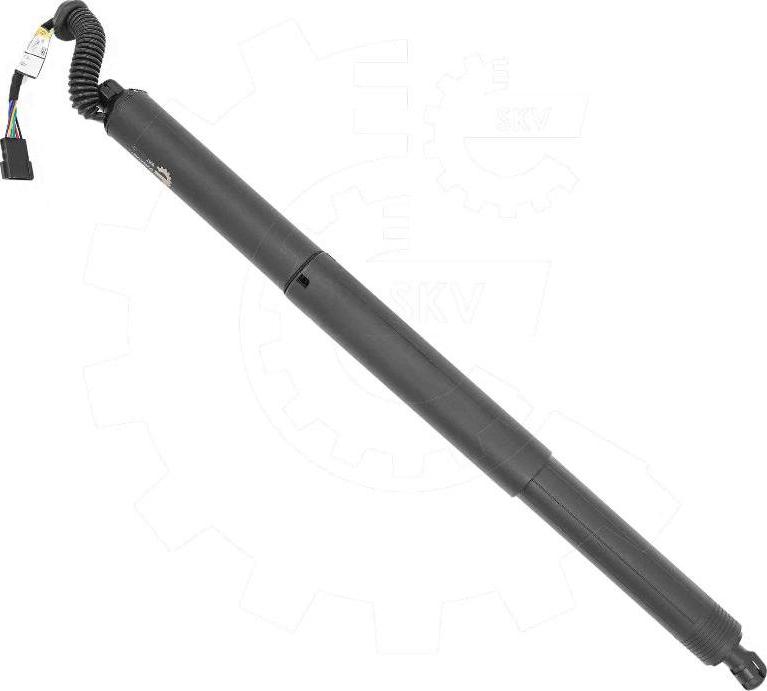 Esen SKV 52SKV974 - Електромотор, задні двері autocars.com.ua