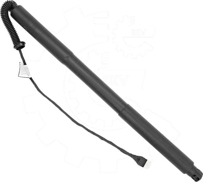 Esen SKV 52SKV977 - Електромотор, задні двері autocars.com.ua