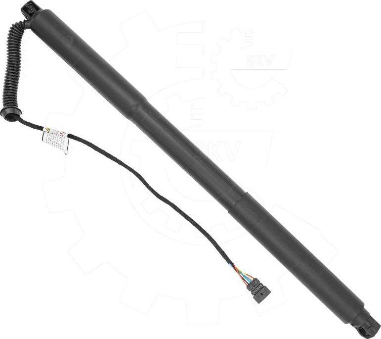 Esen SKV 52SKV978 - Електромотор, задні двері autocars.com.ua