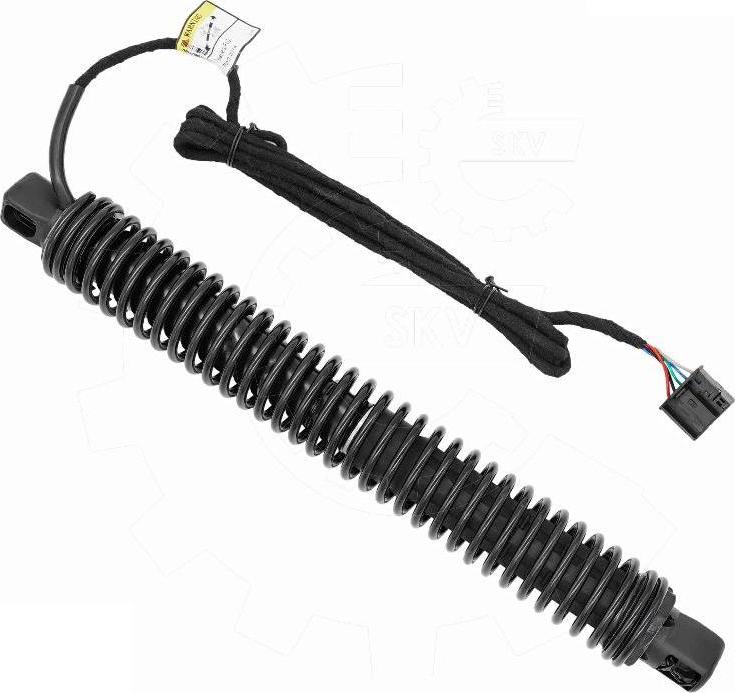 Esen SKV 52SKV986 - Електромотор, задні двері autocars.com.ua