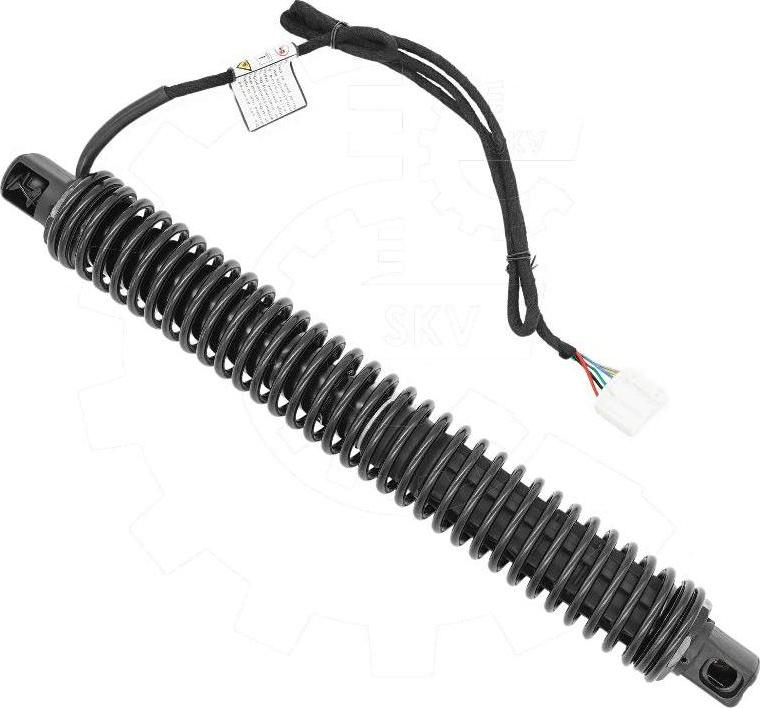 Esen SKV 52SKV987 - Електромотор, задні двері autocars.com.ua