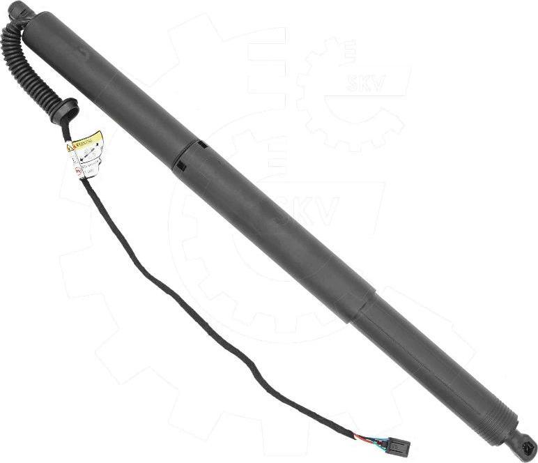 Esen SKV 52SKV988 - Електромотор, задні двері autocars.com.ua