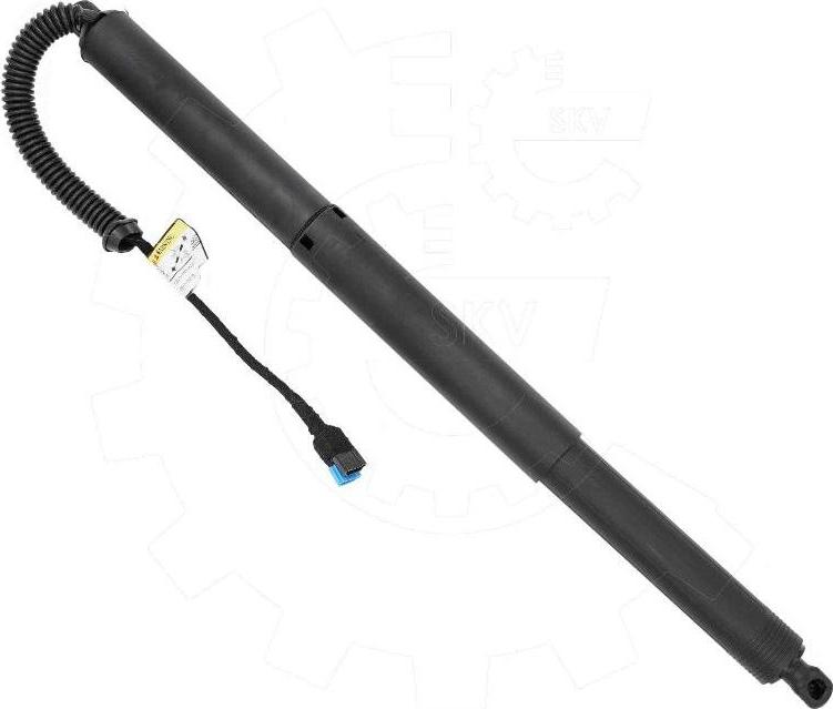 Esen SKV 52SKV999 - Електромотор, задні двері autocars.com.ua