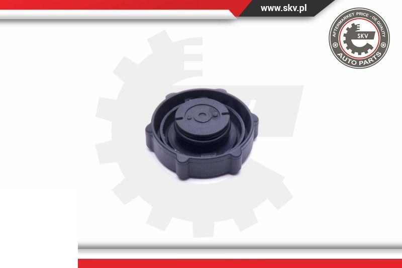 Esen SKV 61SKV029 - Кільце ущільнювача, пробка - насос гідропідсилювача autocars.com.ua