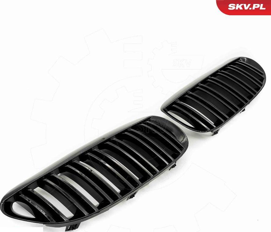 Esen SKV 66SKV205 - Решітка радіатора autocars.com.ua