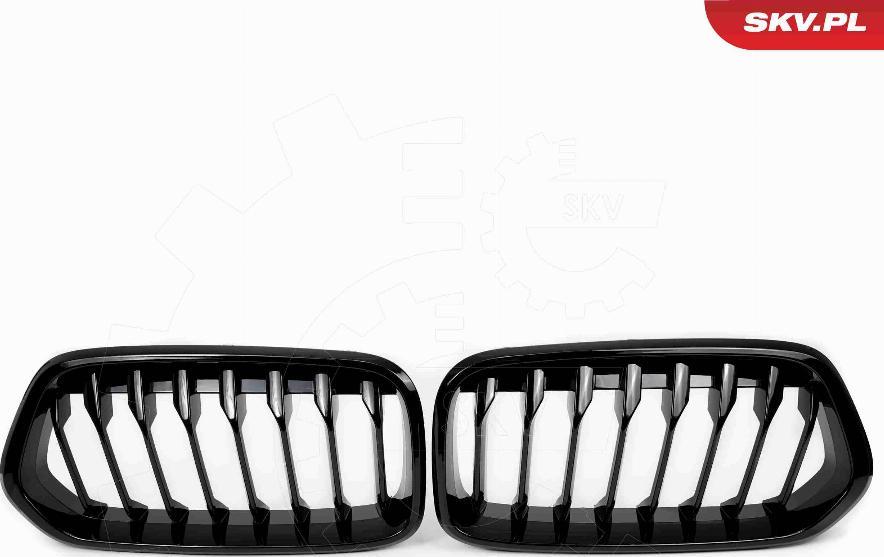 Esen SKV 66SKV245 - Решітка радіатора autocars.com.ua