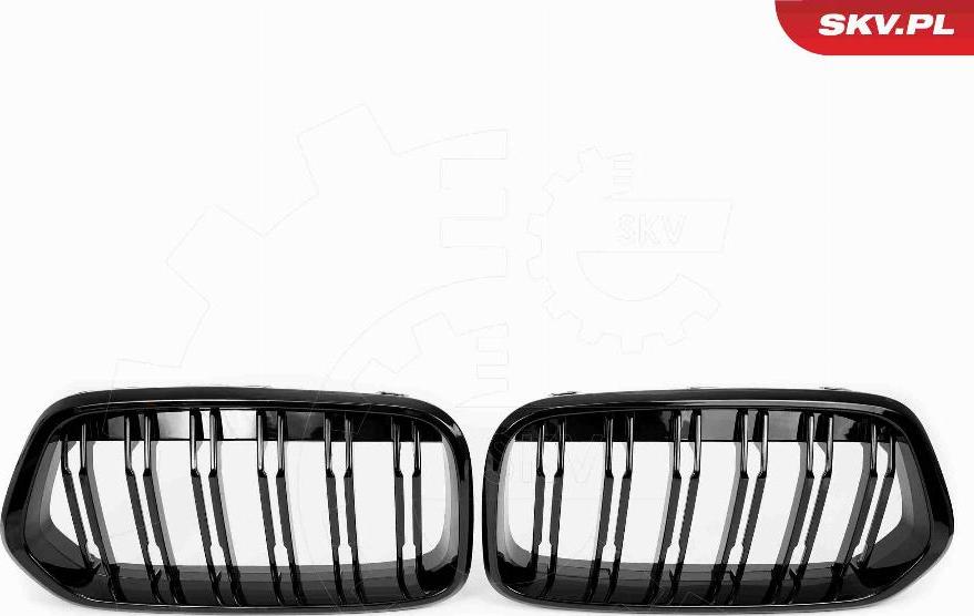 Esen SKV 66SKV246 - Решітка радіатора autocars.com.ua