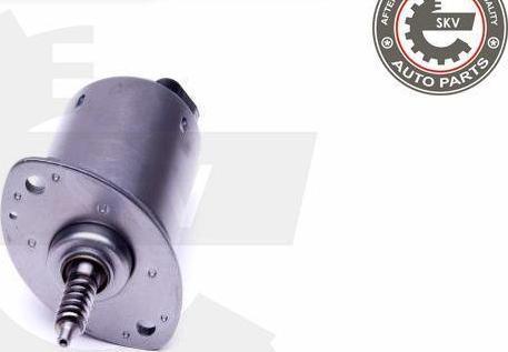 Esen SKV 96SKV089 - регулювальних.  елемент, ексцентрик.  вал (варіації. хід клапана) autocars.com.ua