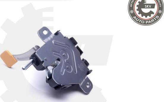 Esen SKV 96SKV165 - Ручка двері autocars.com.ua