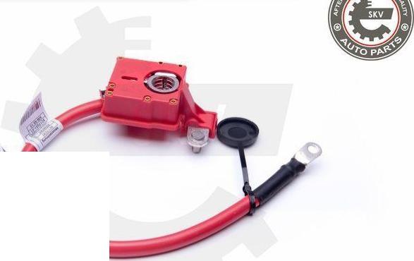 Esen SKV 96SKV302 - Адаптер акумуляторної батареї autocars.com.ua