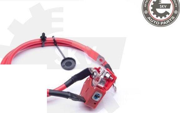 Esen SKV 96SKV307 - Адаптер акумуляторної батареї autocars.com.ua