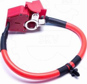 Esen SKV 96SKV316 - Адаптер акумуляторної батареї autocars.com.ua