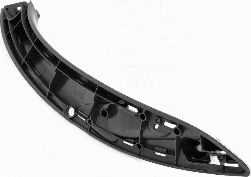 Esen SKV 97SKV035 - Ручка двері autocars.com.ua
