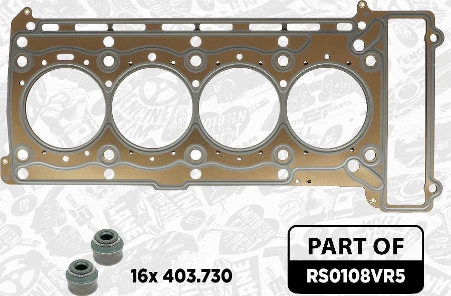 ET Engineteam RS0108VR5 - Комплект цепи привода распредвала avtokuzovplus.com.ua